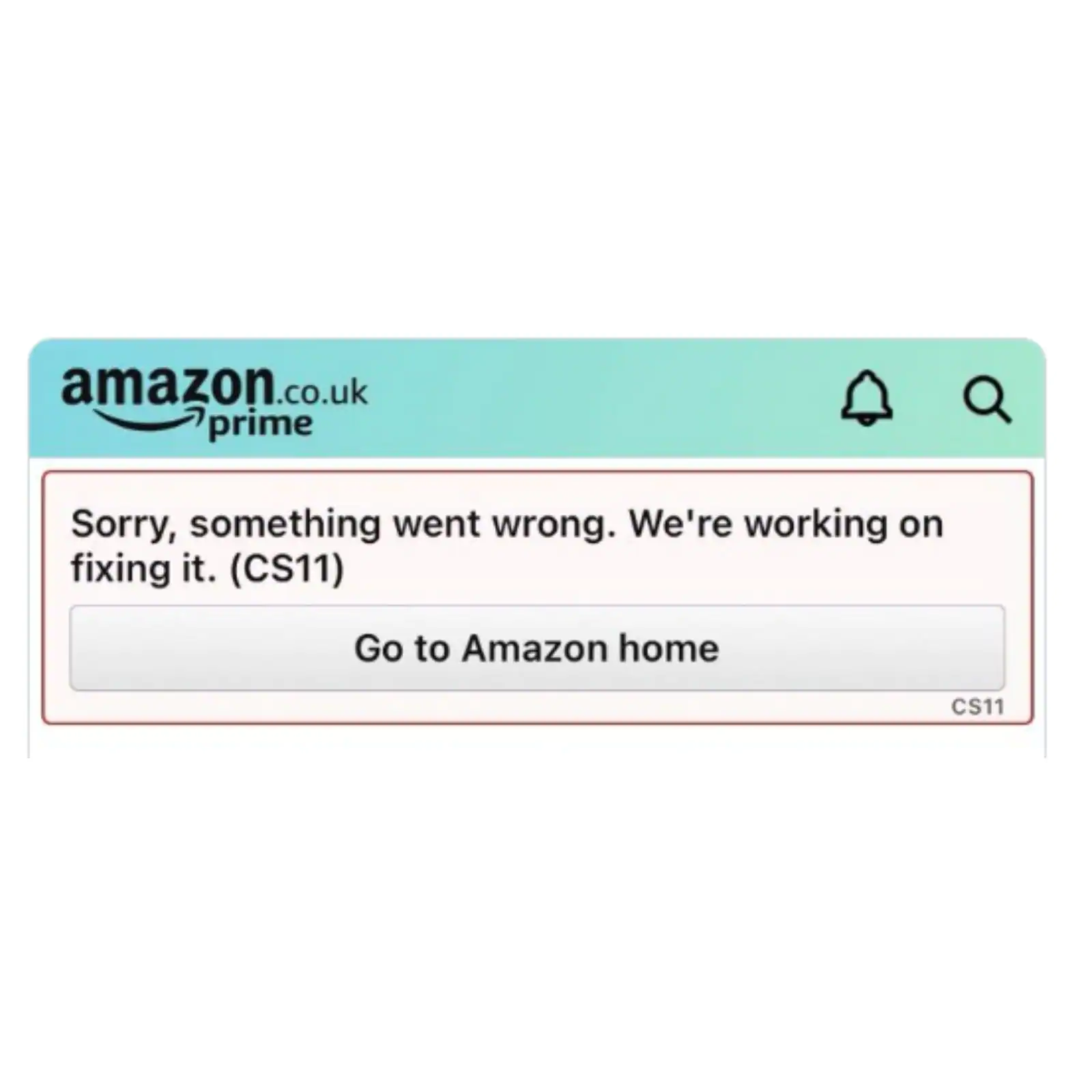 cs11 Amazon error